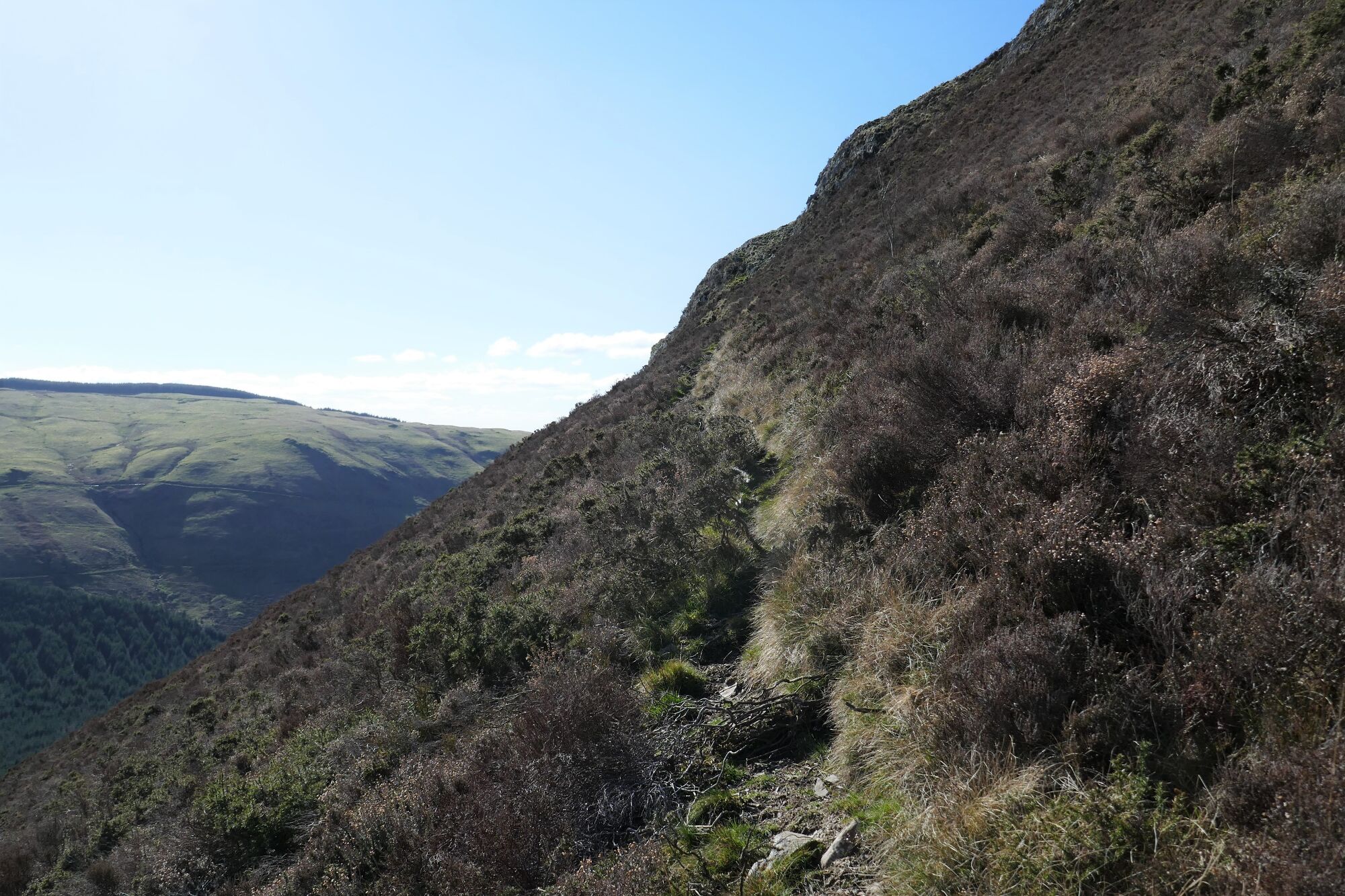RachelSeabrook.net | Wild Walking | Cwm Cyneiniog and Craig y Pistyll | pic33